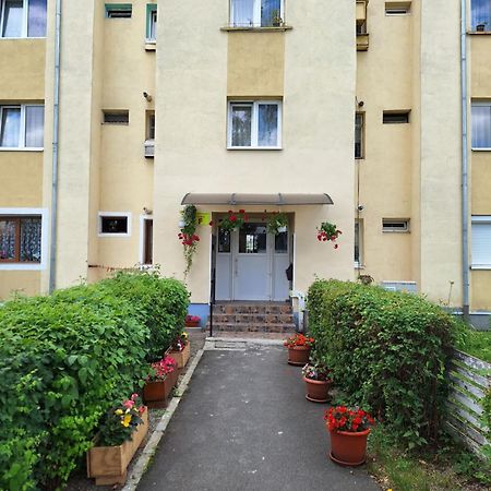 Aldine Comfort : Entire Apartment With 2 Bedrooms Сибиу Экстерьер фото