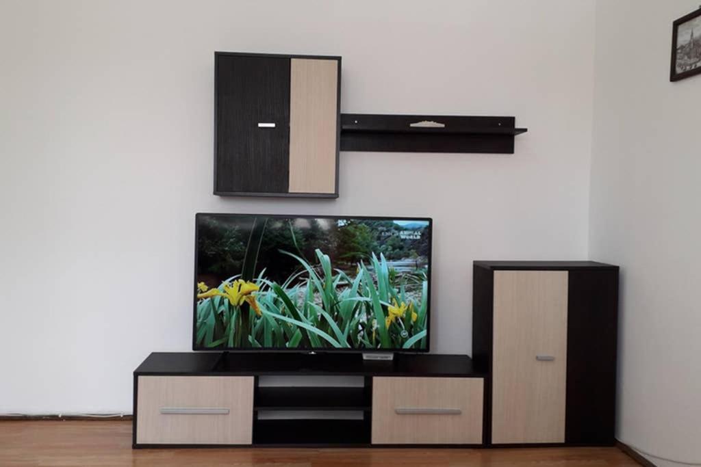 Aldine Comfort : Entire Apartment With 2 Bedrooms Сибиу Экстерьер фото