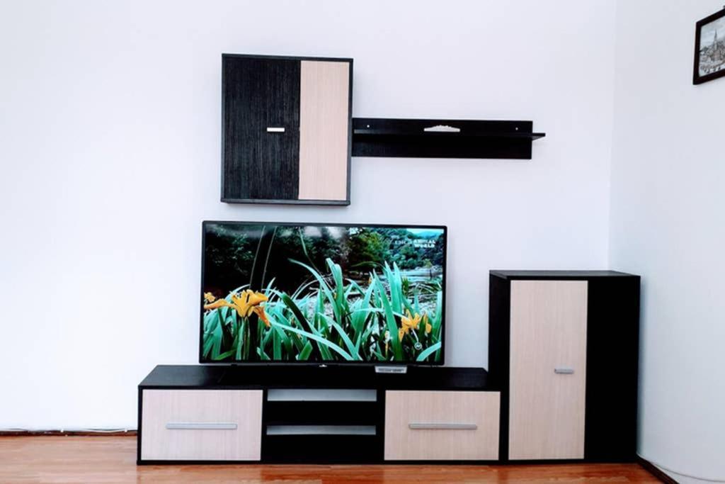 Aldine Comfort : Entire Apartment With 2 Bedrooms Сибиу Экстерьер фото
