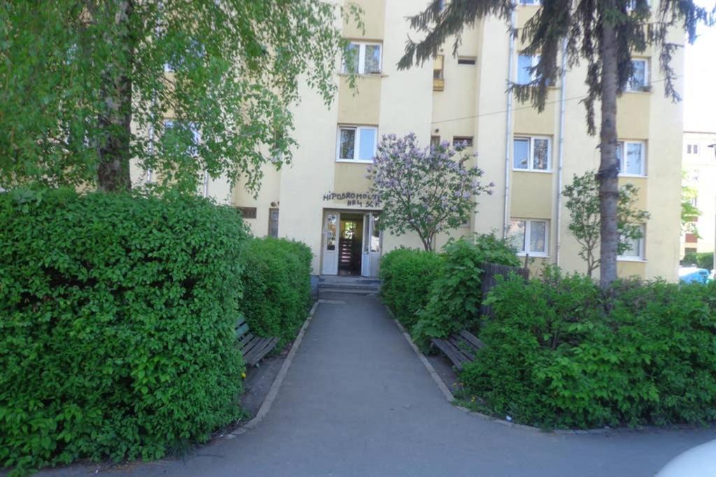 Aldine Comfort : Entire Apartment With 2 Bedrooms Сибиу Экстерьер фото