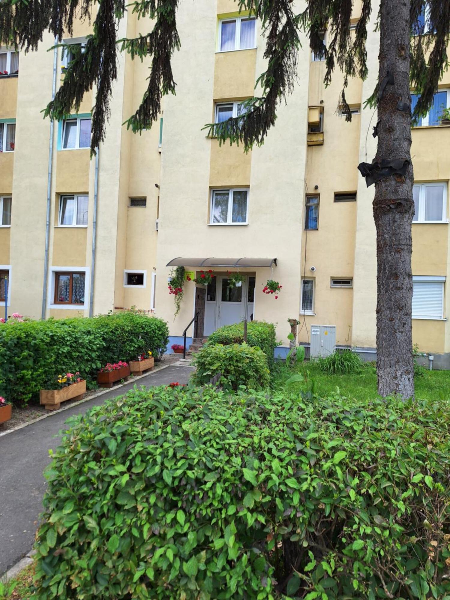 Aldine Comfort : Entire Apartment With 2 Bedrooms Сибиу Экстерьер фото